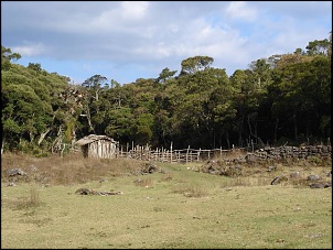Para Os Amantes De Fotografia-imagem-153.jpg