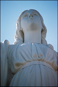 Para Os Amantes De Fotografia-f1000009.jpg