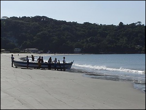Para Os Amantes De Fotografia-papagaio-055.jpg