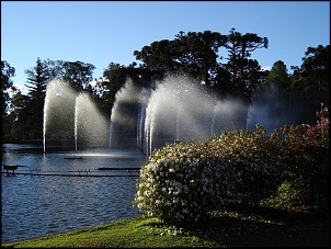 Para Os Amantes De Fotografia-gramado-028.jpg