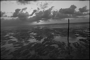 Para Os Amantes De Fotografia-praia.jpg