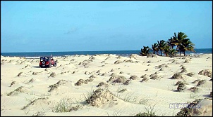 Para Os Amantes De Fotografia-wangledun-copia.jpg