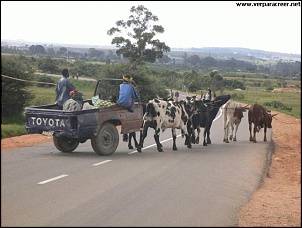 -toyotacarevaca-1-.jpg