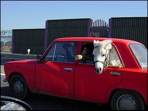 Ferrari-ferrari_1.jpg