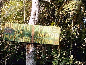 Placas-pico-menor-021.jpg