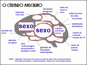 -cerebromasc_556.gif