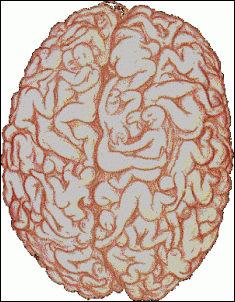 -brain_2_171.gif
