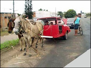 motor de opala-opala_cavalo1-3-.jpg