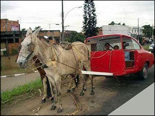 motor de opala-opala_cavalo3-3-.jpg