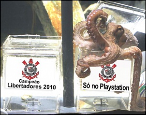 Vai curinthia-kkkkkkkkk.jpg