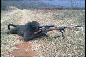 A guerra contra os bandidos no rj-macaco.jpg