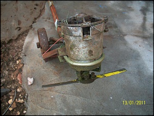 -gambi-016.jpg