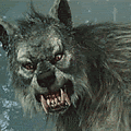 -thwerewolf.gif