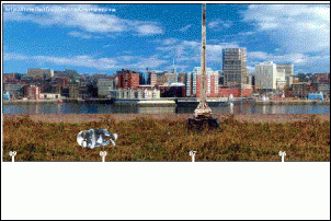 -sapo_193.gif