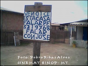 -a17_462.jpg