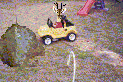 -leo_651.gif