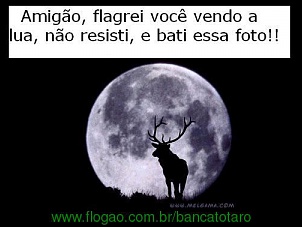 -viadinho.jpg