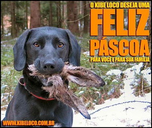 Feliz Pascoa!-pascoa-kibe-loco.jpg