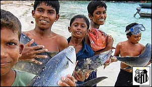-peixe.jpg