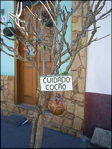 Placas-cuidado_com_o_cao.jpg