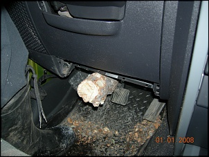 Jeep X Arvore-jeep_tree4.jpg