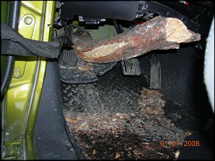 Jeep X Arvore-jeep_tree5.jpg