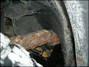 Jeep X Arvore-jeep_tree6.jpg