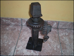 macaco do jeep-imagens2-034.jpg