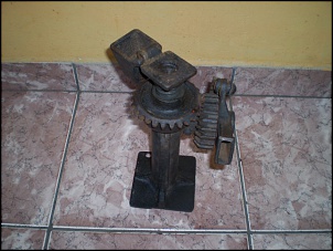 macaco do jeep-imagens2-036.jpg