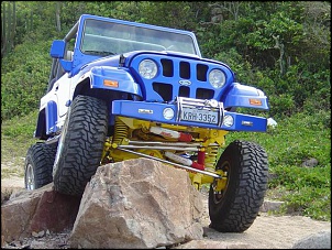 Paralamas e Grade do mammoth...-resize_of_mammoth_2.jpg