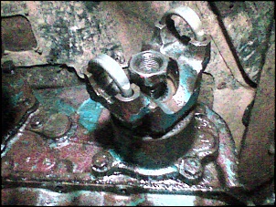 -imag.013.jpg