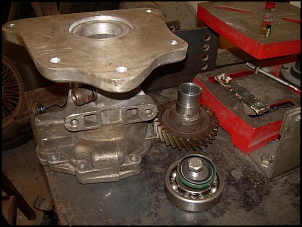 TH 180 (Opala) + Dana 18-dsc-016.jpg