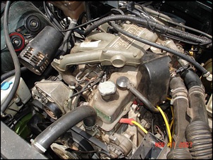 Motor V8 ou falcon ?-dsc01310.jpeg
