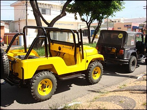 Mais um jeep fora das trilhas p/reforma geral-jeep1.jpg