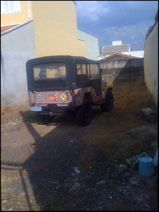 -jeep_rosa_2.jpg