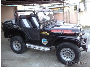 Comprando meu 1o Willys-2478192.jpg