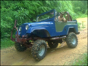 comprei um willys-img101.jpg
