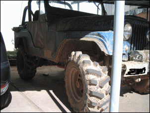 Pneu Argentino ou Genius 1001?-img_0002_115.gif