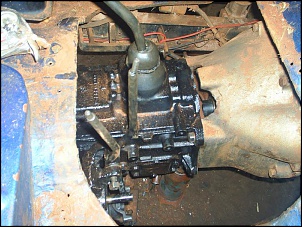 -s3010088.jpg