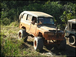 -adv-c-183-.jpg