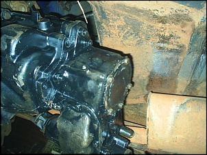 -s3010090.jpg