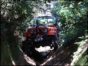 Qual cor pintar meu CJ5?-dsc01152.jpg