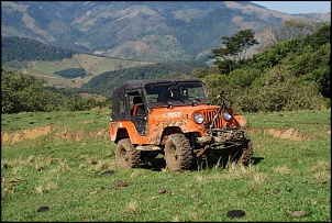 Qual cor pintar meu CJ5?-dsc_0249.jpg