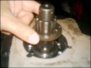 -imag0428.jpg