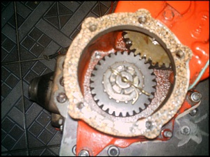 -imag0434.jpg