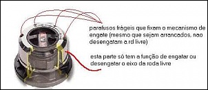 Modelo de roda livre-avmnew2_363.jpg
