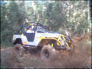 -modelodeparachoque_grade001.jpg