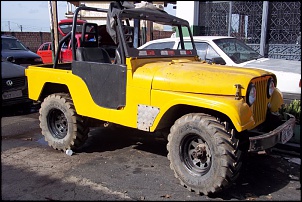 -100_0251-small.jpg