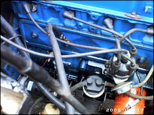 -phot0269.jpg