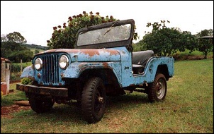 -jeep02.jpg